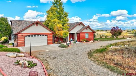 21273 Road P.3 Cortez CO 81321