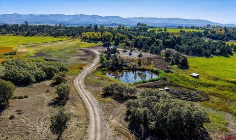 4334 County Road 509 Bayfield CO 81122