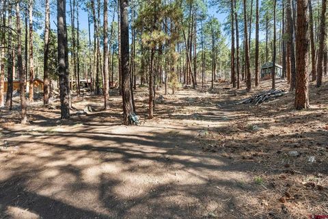 110 Elk Drive Bayfield CO 81122