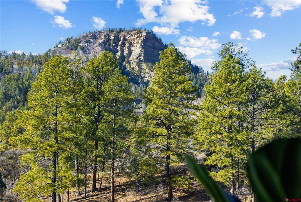 314 N Tamarron Drive 218