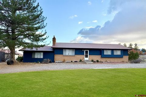 20812 Vista Grande Drive Austin CO 81410