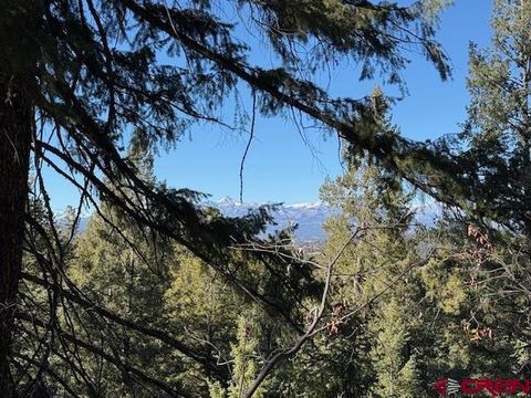 2409 Loma Linda Pagosa Springs CO 81147
