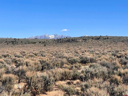 ADDRESS PRIVATE, SAN LUIS, CO 81152 - Image cc8a13e5cd30ebb2090ae65a65bb6087/3541954941