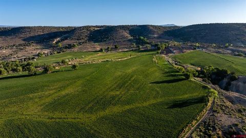 11577 Shamrock Road Hotchkiss CO 81419