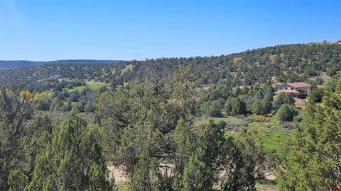 3605 CR 307 Durango CO 81303
