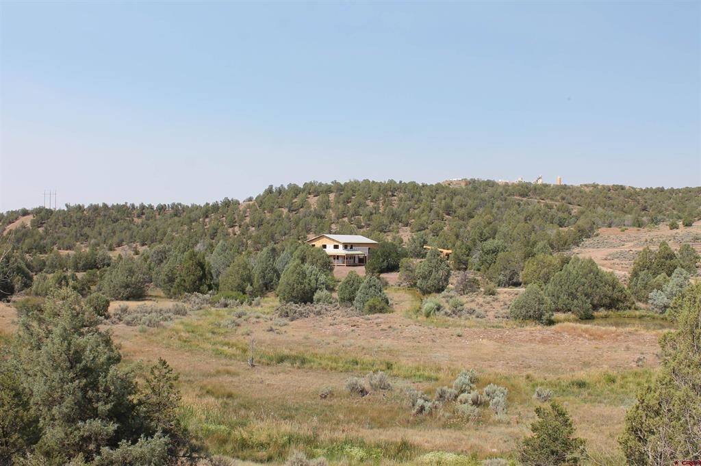 3605 CR 307