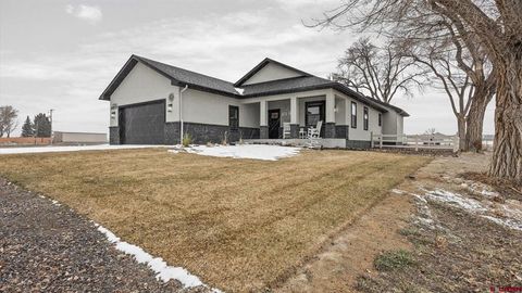 Photo of 67190 Sunnyside Road, Montrose, CO 81401 (MLS # 831193)