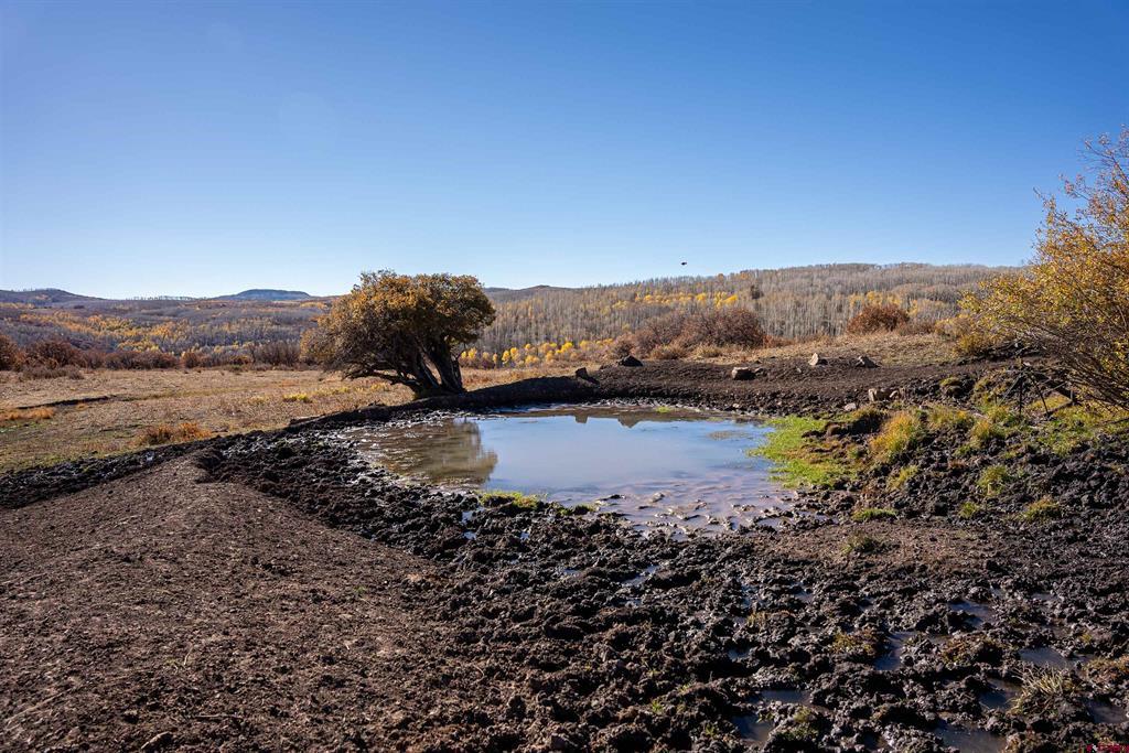 TBD Divide Road