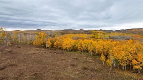 TBD Divide Road Gateway CO 81522