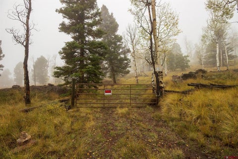Photo of 210 Kebler Trail, Powderhorn, CO 81243 (MLS # 839527)