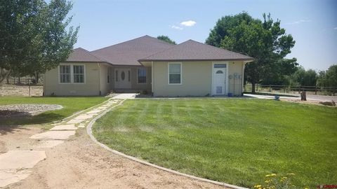 Photo of 7095 Buena Vista Road, Delta, CO 81416 (MLS # 830429)