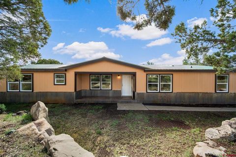 194 Hollow Ridge Road Durango CO 81301