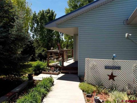 12391 Rock Hill Road Eckert CO 81418