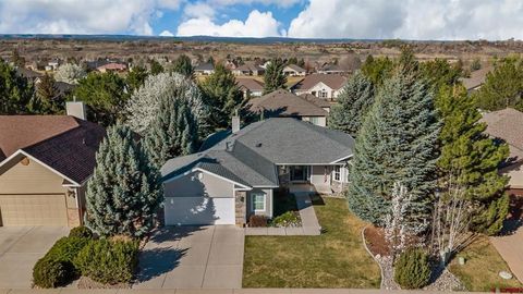 Photo of 3712 Buffalo Lane, Montrose, CO 81403 (MLS # 832895)