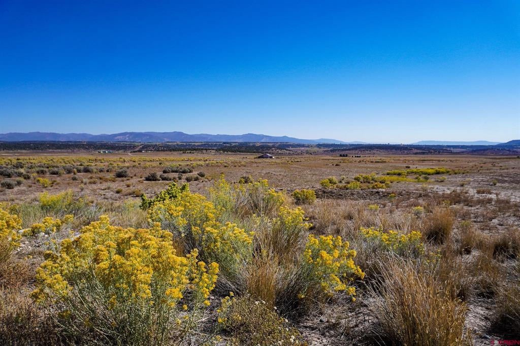 TBDWP County Road 319