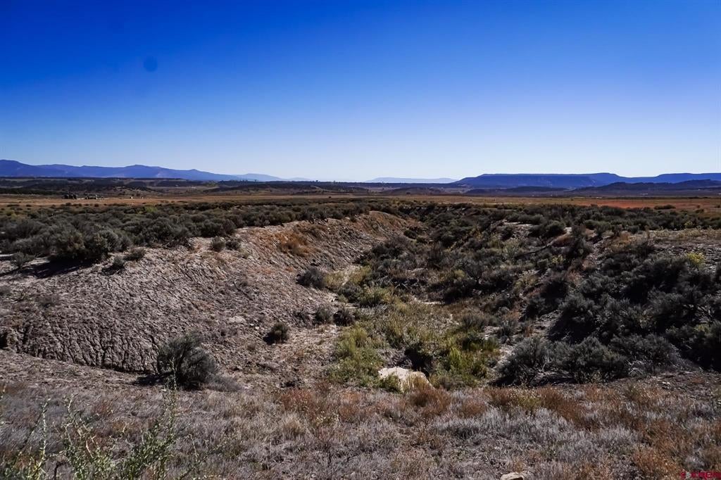 TBDWP County Road 319