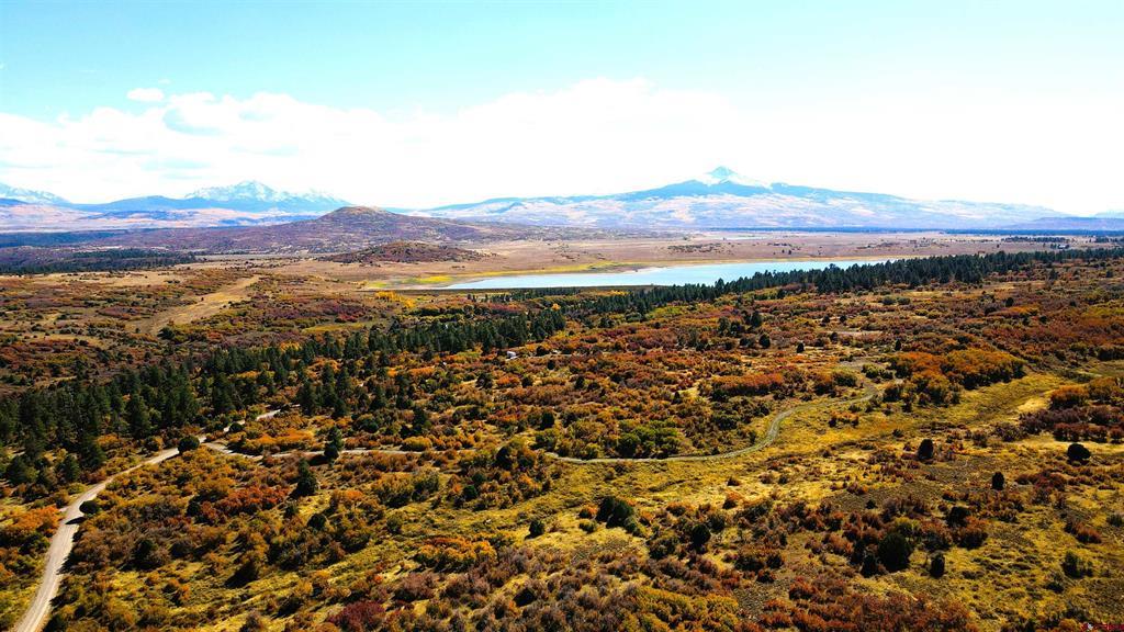 1535 N. Gurley Drive