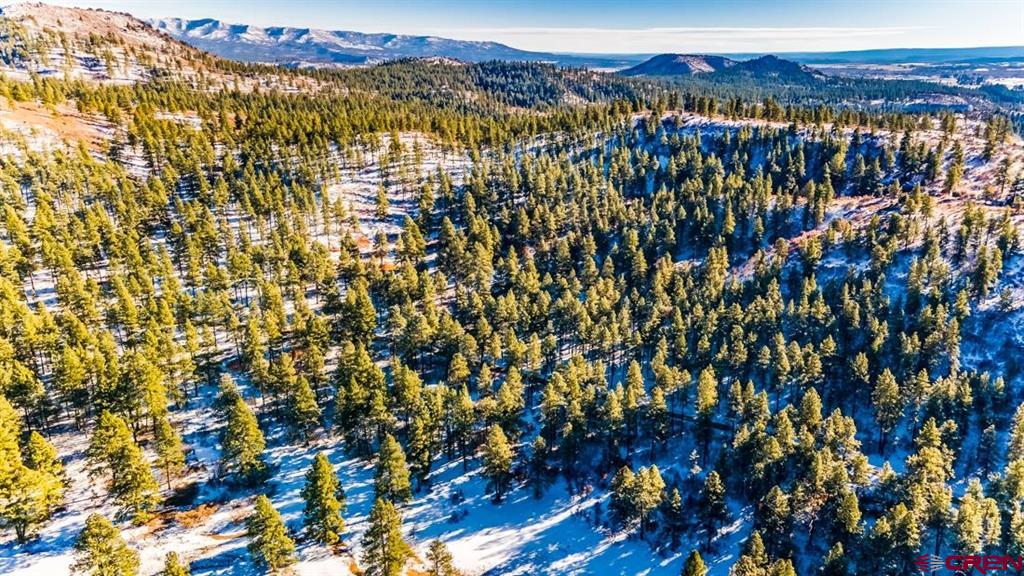 Photo 1 of 22 — TBD Lot 11 Beaver Creek Ranch Drive, Bayfield, CO 81122