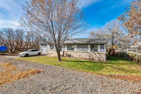 1401 N Cactus Drive Bayfield CO 81122