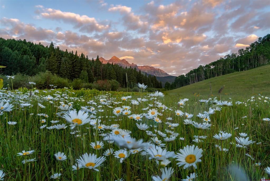 tbd Sunshine Mesa Road