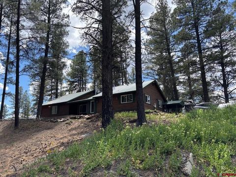 Photo of 276 Cactus Drive, Pagosa Springs, CO 81147 (MLS # 835479)