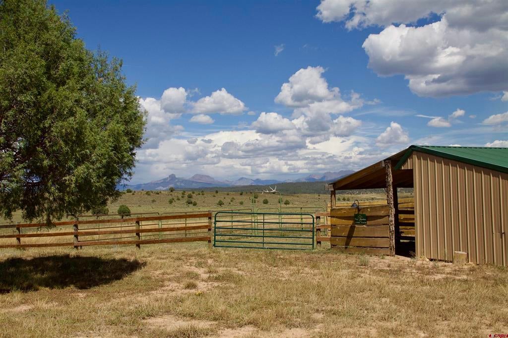 2439 County Road 359