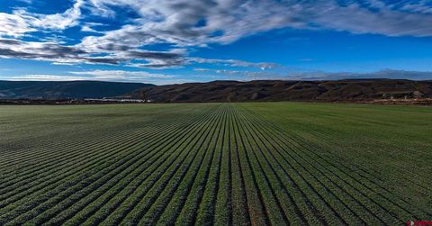 830 Old 6 and 50 Mack CO 81525