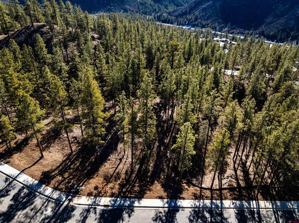 68 Avalanche Lily Dr. (Lot 132)
