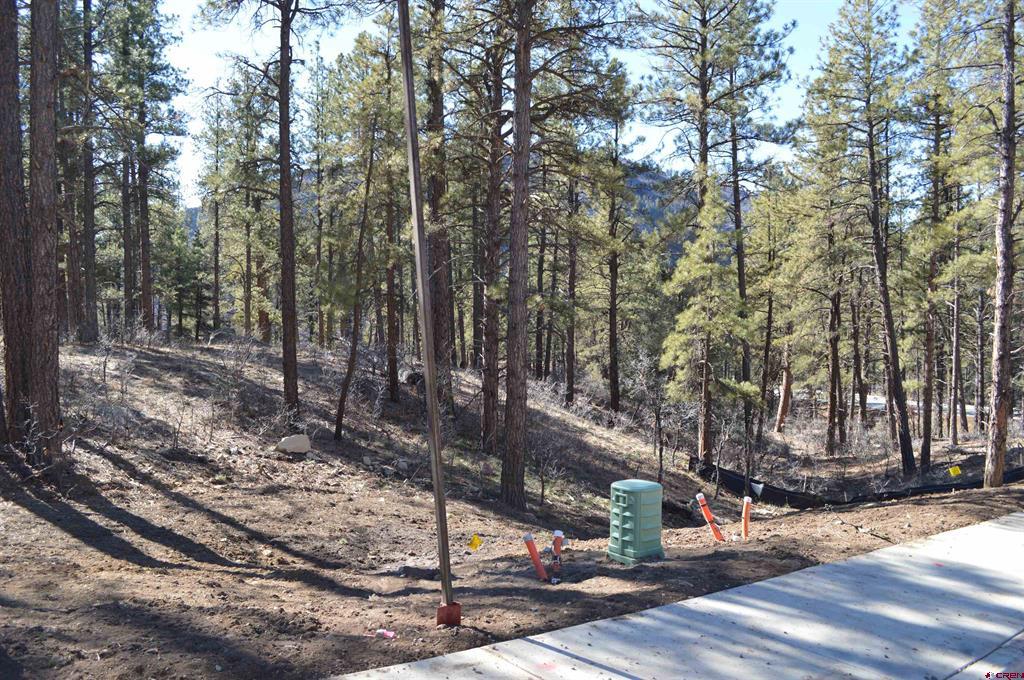 68 Avalanche Lily Dr. (Lot 132)