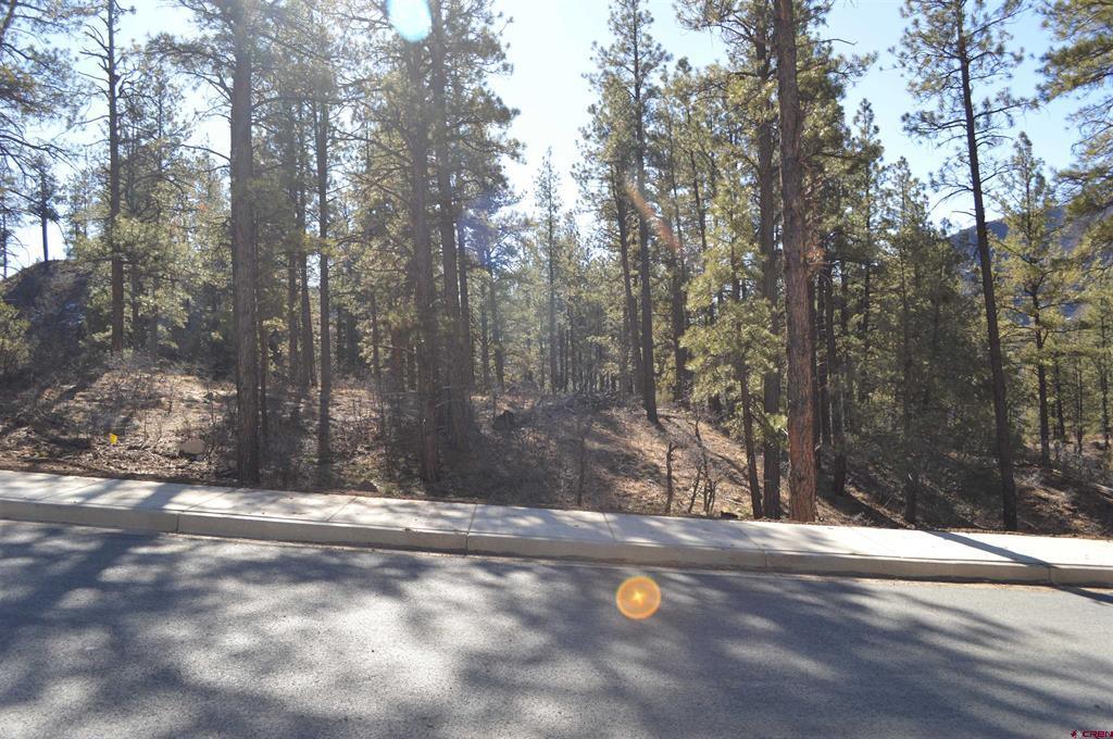 68 Avalanche Lily Dr. (Lot 132)