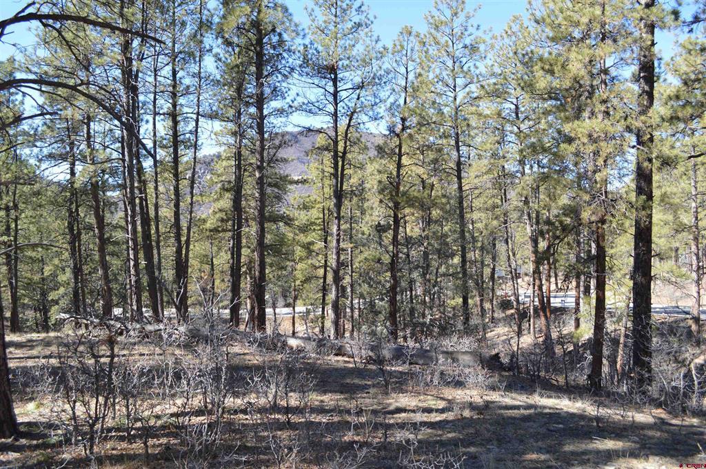 68 Avalanche Lily Dr. (Lot 132)