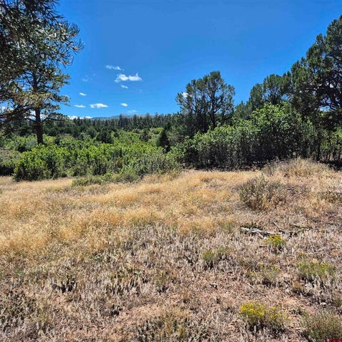 Photo of 1620 Wildcat Canyon Road, Montrose, CO 81403 (MLS # 838807)
