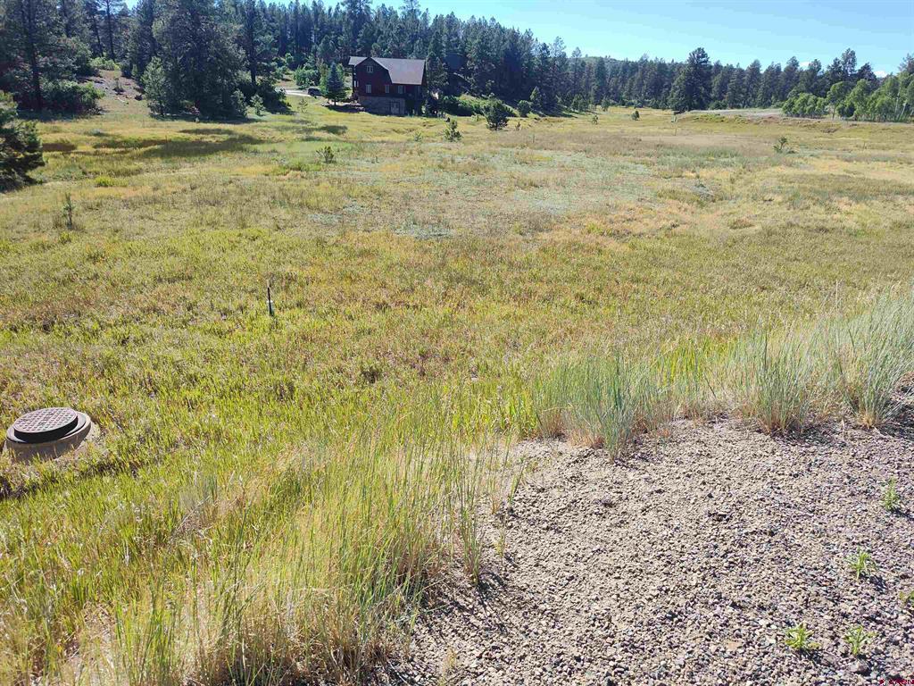 Photo 1 of 1 — 134 Santino Place, Pagosa Springs, CO 81147