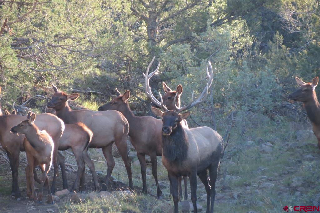 12630 County Road 175 Tobe Creek Mesa Ranch