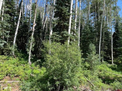 158 Engineer Drive Durango CO 81301