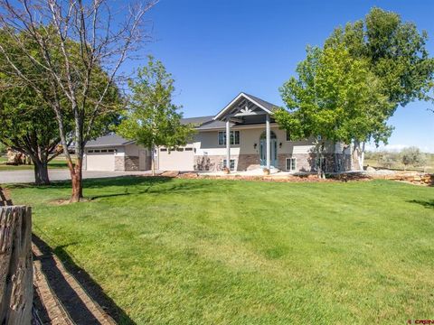 Photo of 15825 6000 Road, Montrose, CO 81403 (MLS # 834497)