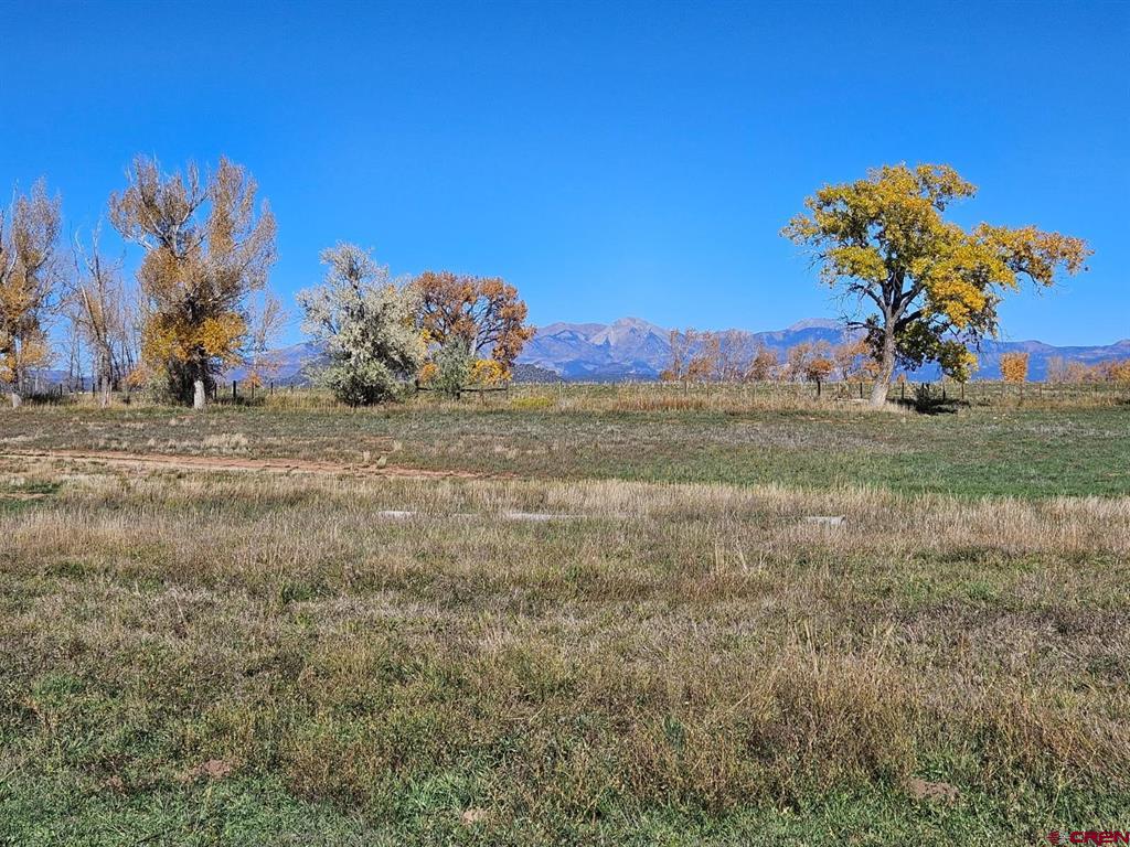 2557 County Road 301