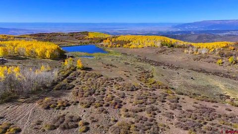 33339 Oak Mesa Road Hotchkiss CO 81419