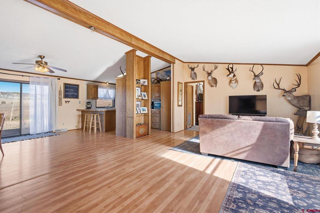 1966 County Road 321