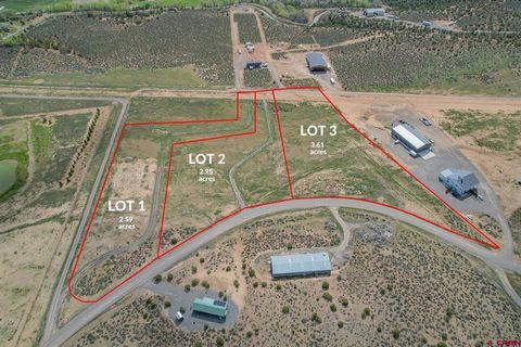 Lot 3 6300 Road Montrose CO 81403