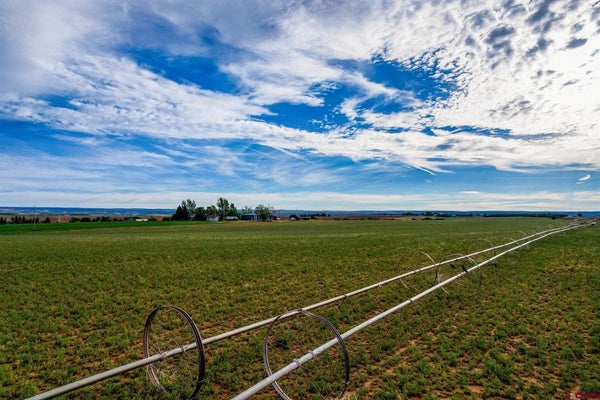 ADDRESS PRIVATE, PLEASANT VIEW, CO 81331 - Image d2e2deac2ceb69a5e6e9b4a0606737f9/3199750725