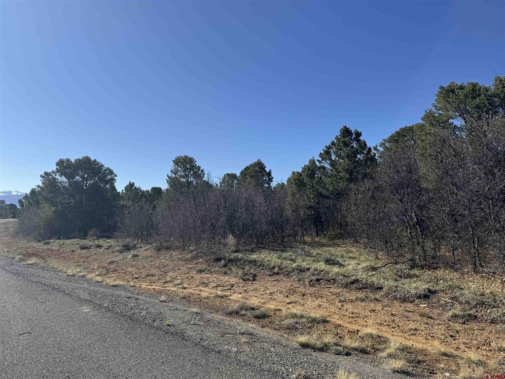 212 Fisher Canyon Drive