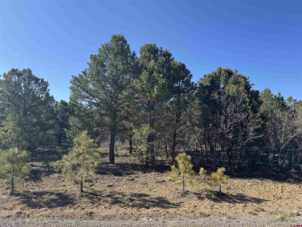 212 Fisher Canyon Drive