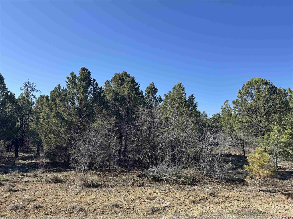 212 Fisher Canyon Drive