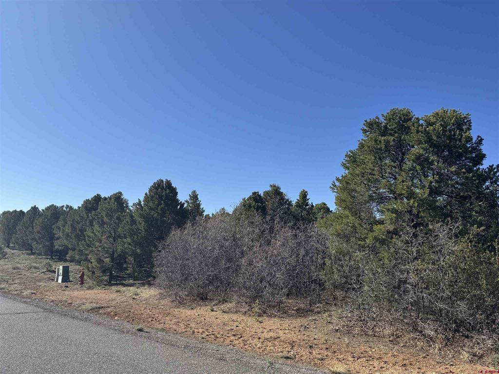 212 Fisher Canyon Drive