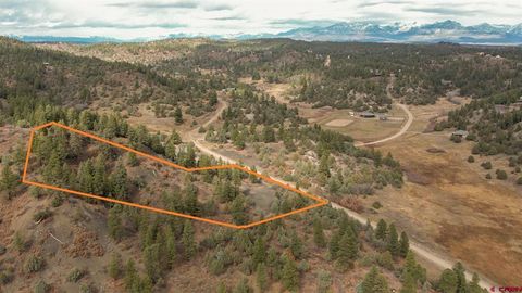 1433 Harvard Avenue Pagosa Springs CO 81147