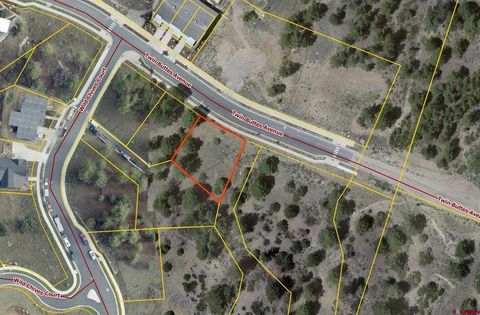 893 Twin Buttes Avenue Durango CO 81301