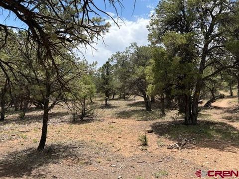 Property photo of Lot 4 Pine Drive, Ridgway, CO 81432