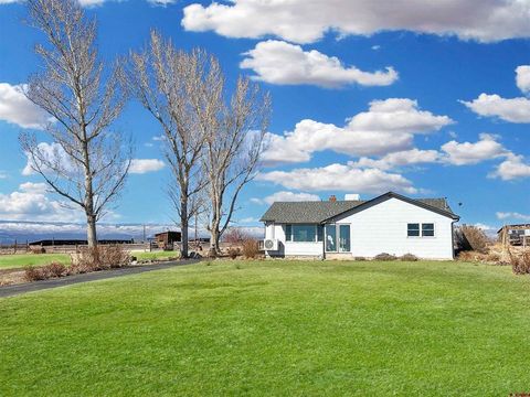 Photo of 1 North Road, Hotchkiss, CO 81419 (MLS # 830470)