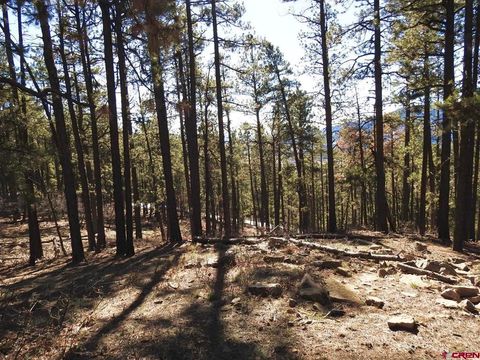 122 Timber Drive Bayfield CO 81122